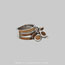 image16
